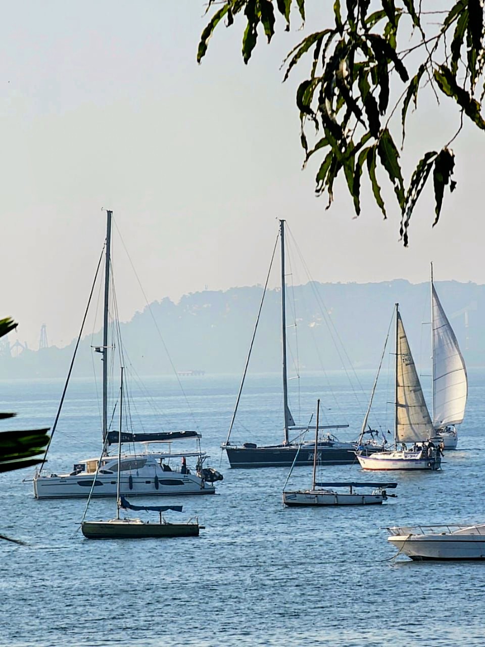 Yachts at anchor in a misty Goa bay at first light